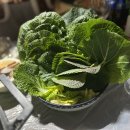 현암리 돌담집 이미지