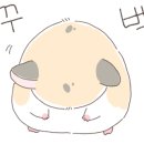 테그42광주효천점 이미지