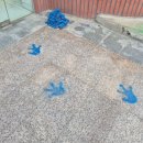 블루프로그호텔 이미지