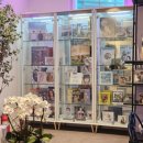 서울닥터우치과의원 | 닥터손유나의원 1회차 후기 💉 출산 후 팔뚝 고민 해결 도전기 (매직팔뚝캣 리얼후기)