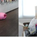 이에스씨컴퍼니 이미지