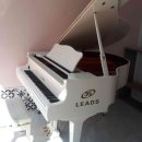 리즈피아노교습소 이미지
