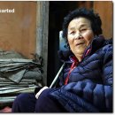 산성누룩 이미지