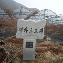 태화포도원