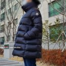 앙지스