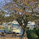 을숙도 자전거 무료대여소 이미지