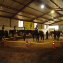 동서울 승마장 이미지