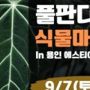 식물마켓