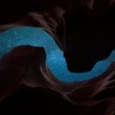 명리, 나를 지키는 명리 이미지