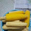 어부네농장 이미지