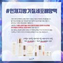인셀덤샵(프리티셀) | 인체줄기세포? 줄기세포 화장품? 라벨라?