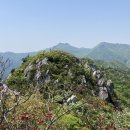 날아라벨라 이미지