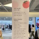 대상물산 | 나는야 도마도가 될 거야-토마토 물산전 후기