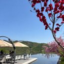 산처럼물처럼 | 강원도 원주 가볼만한곳 뮤지엄산 자연과 건축 속 힐링 후기