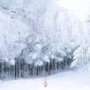 나의작은천사에게 이미지