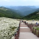 미탄중앙로/서동로 네이버블로그