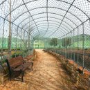 곤명생태학습체험장축구장 이미지