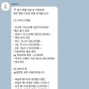 라잌케잌 네이버블로그