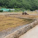 이일농장 이미지