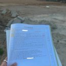 인천영종초등학교금산분교장 | 인천 이슬람 사원 550만 구독자를 보유한 무슬림 유튜버 이미 부지 확정 진행중?