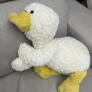 인형뽑기 이미지