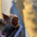 씨유 한국프레스센터점 이미지