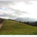 안반데기 목장 이미지