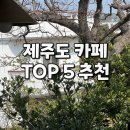제주시절 | 제주도 카페 추천 TOP 5 후기 카페진정성 그 시절 그 바다 제주카페백년 봄날 뮈르 뷰스트