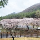 묘곡경로당 이미지