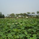 바닷가쉼터펜션 이미지