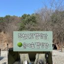 포천제일오토카센타 | 포천 캠핑장추천 울미숲오토캠핑장 c21사이트 후기