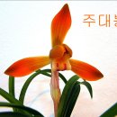 천향원 이미지