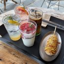 바바라 발리 이미지