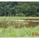 청운면사무소 1층 이미지