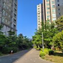 퍼피쿼터스 이미지