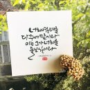 성경그릇 이미지