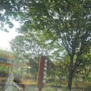 구렛들1길 이미지