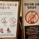 문신 15㎝ 넘으면 못 들어가…이런 곳 늘더니 한강 수영장서도 논란 터졌다 이미지
