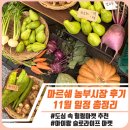 서울온(ON)농부들 | 성수 마르쉐 농부시장 후기, 아이랑 도심 속 힐링 마켓 나들이/ 11월 일정 총정리