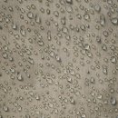 숲속의 오케스트라 | (음25-128) 클라우스 메켈레 &amp; 로열 콘세르트헤바우 오케스트라(11.5)