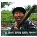 레드플랜트 이미지