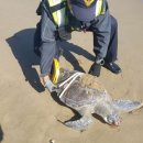 푸른바다 이미지