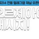 캐트시 이미지
