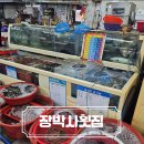 장박사횟집 | 탄도항 회센터 14호 장박사횟집 내돈내산 후기