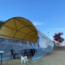 개떼월드 이미지