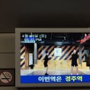 루점빵 | 4월 5월 〡안동 찐 맛집과 카페를 곁들인 〡내돈내산 〡럭키비키