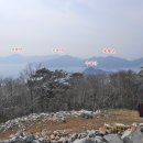 선후농장 티스토리
