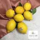 레몬 이미지