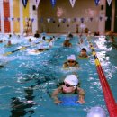 나주실내수영장 이미지