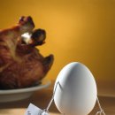 테리보더의 먹고+즐기고+ 사랑하라 이미지